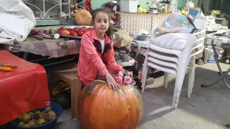 Manisa’da üzüm bağlarında devasa kabak yetişti: Tanesi 80 kilogram