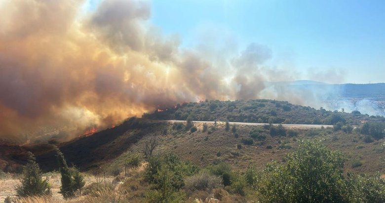 İzmir Urla’daki orman yangını hızlı müdahale ile kontrol altına alındı