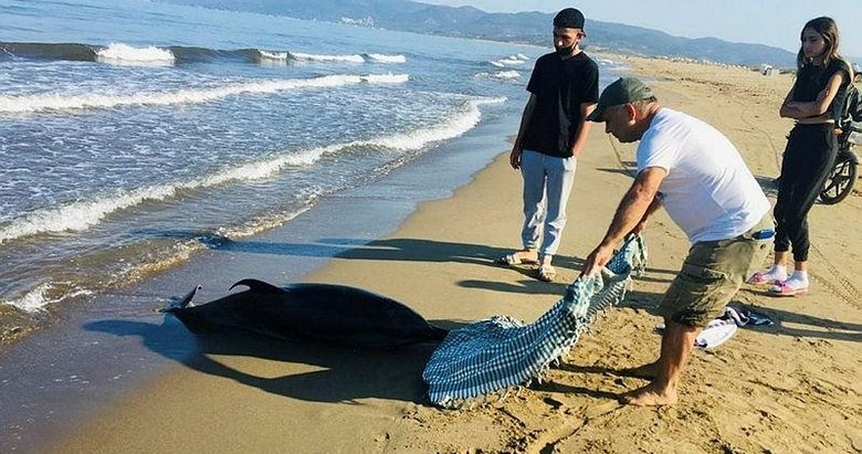 Yaşasın diye defalarca denize geri ittiler ama ölü olarak kıyıya vurdu