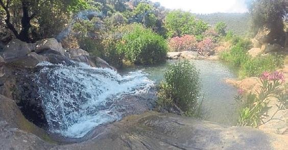 Muğla’nın taçsız kraliçesi: Milas
