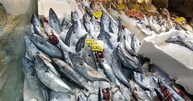 İzmir’de balık patlaması!