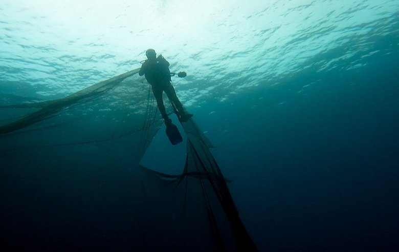 Dev hayalet ağ İzmir’de dalış turizmi için batırılan vapuru kapladı