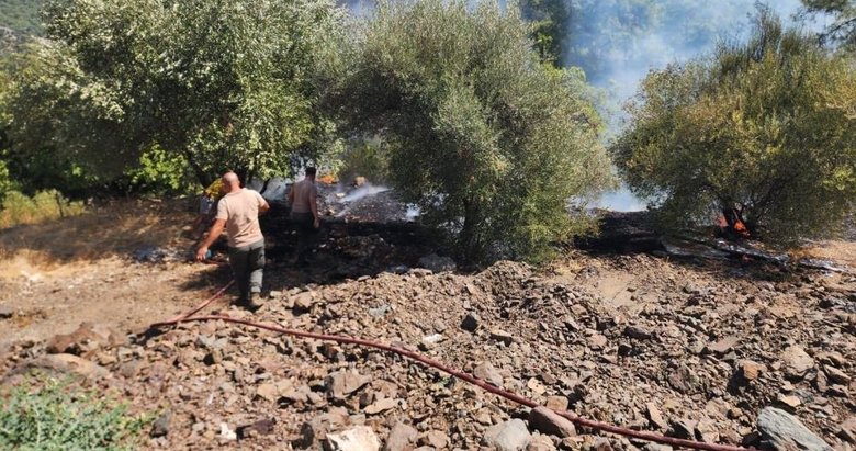 Marmaris’te orman yangını