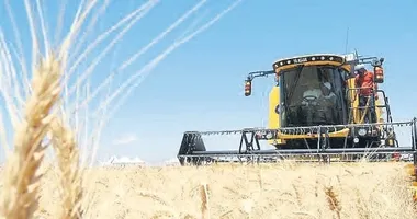 Türk hububatı 212 ülkenin sofrasına ulaştı