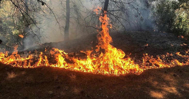 Spil Dağı’ndaki yangın büyümeden söndürüldü