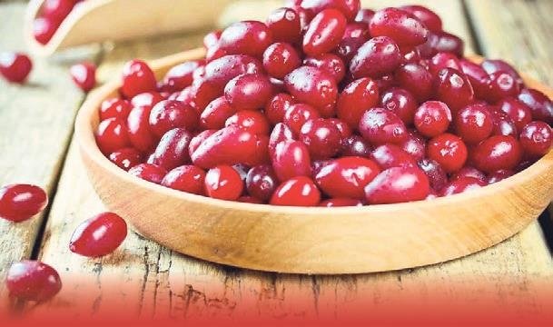 Soğuklara karşı sonbahar meyveleri