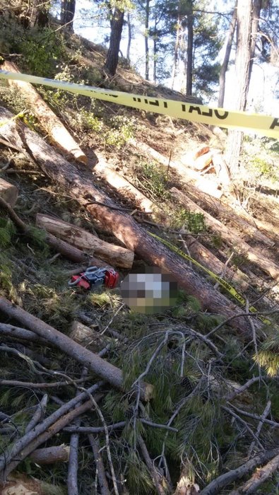 Denizli’de korkunç ölüm! Kestiği ağacın altında kaldı cesedi 4 gün sonra bulundu