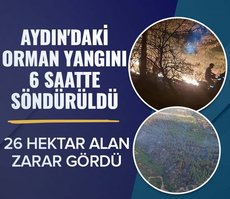Aydın’daki orman yangını 6 saatte söndürüldü! 26 hektar alan zarar gördü