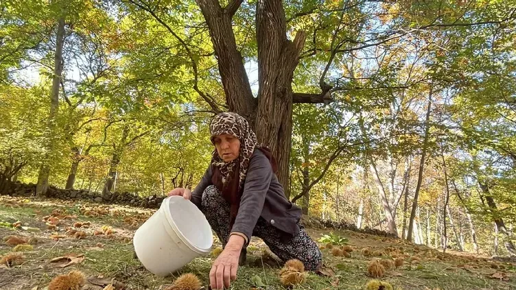 izmirde-5-bin-tllik-yevmiye-hasat-basladi-para-var-isci-yok-1792851826642.png