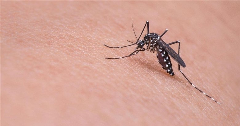 Kentte gittikçe büyüyen soruna Soyer’den ilginç bahane