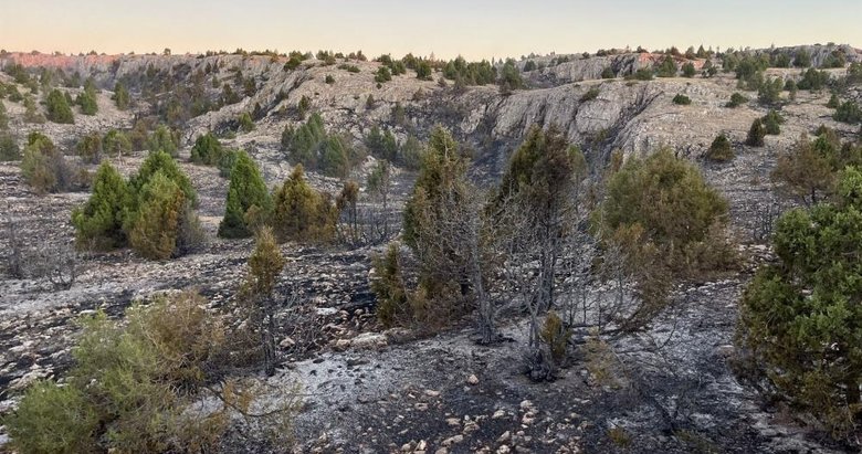 Kütahya’daki yangında 10 dekar alan zarar gördü