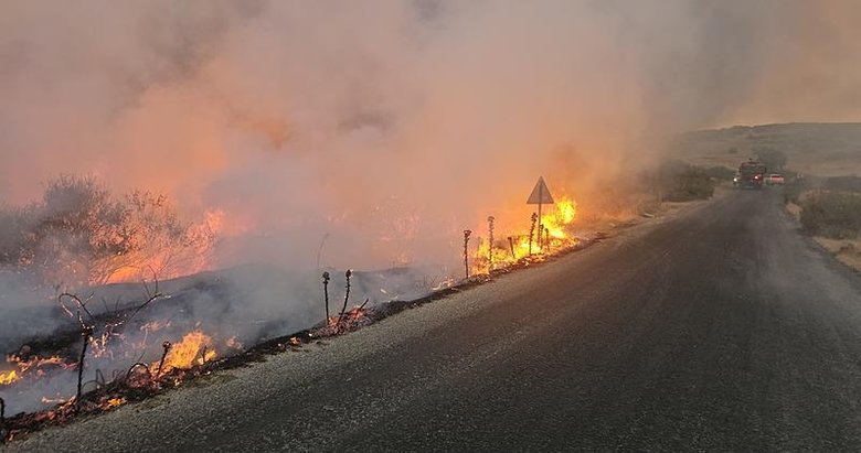 İzmir Tire’de semaverle demlenen çay ormanı yaktı: 3 kişi tutuklandı