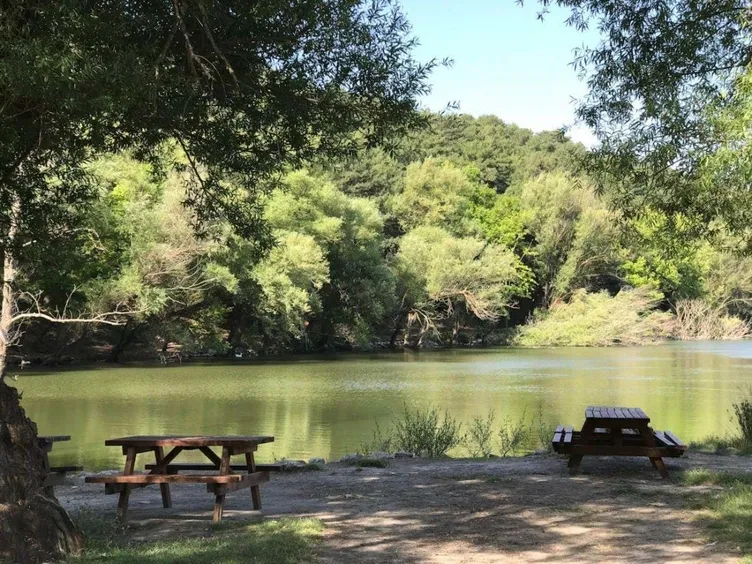 İzmir’de sıcaklardan kaçıp nefes alabileceğiniz piknik alanları