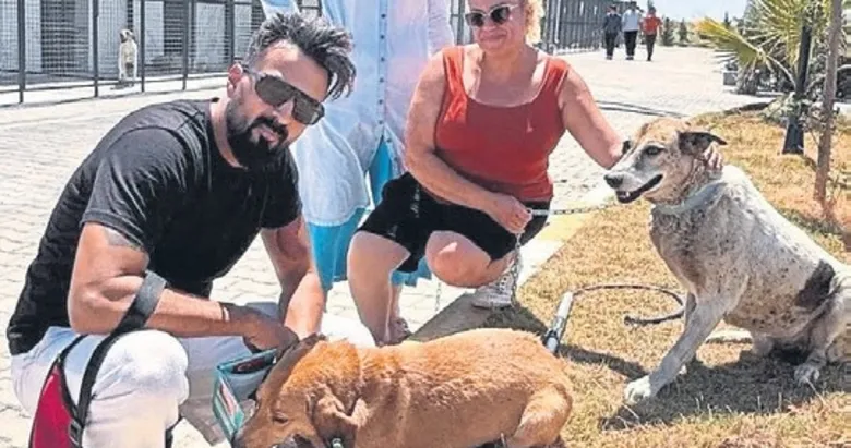 Söke Belediyesi’nden can dostlara umut eli