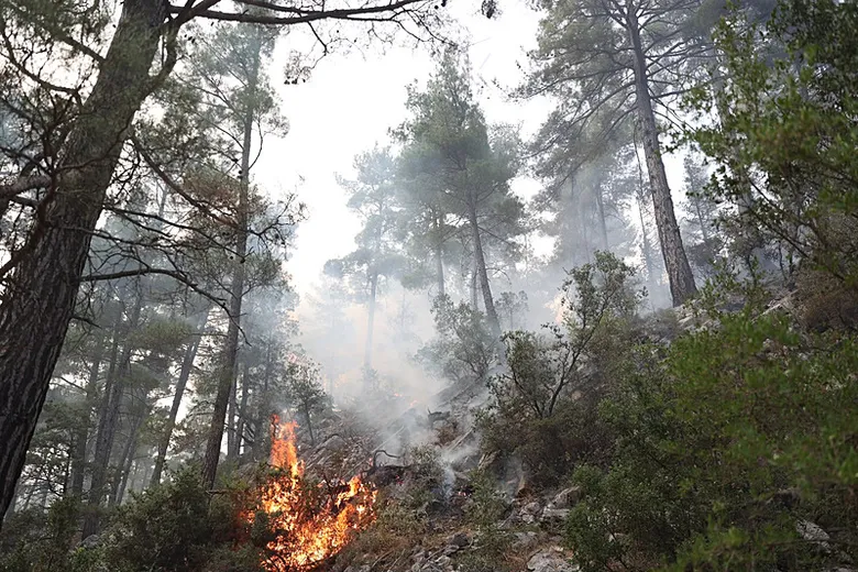 yangin-sezonu-oncesi-muglada-kirmizi-alarm-mugla-valisinden-yuksek-risk-uyarisi-1784561715706.jpeg