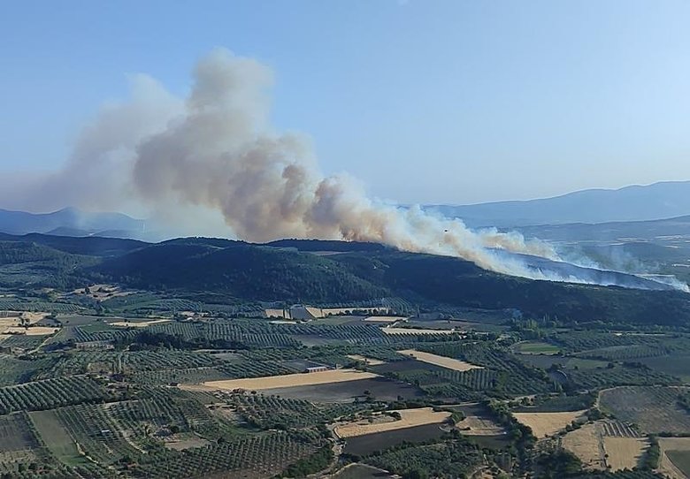 Manisa’da orman yangını! Havadan ve karadan müdahale