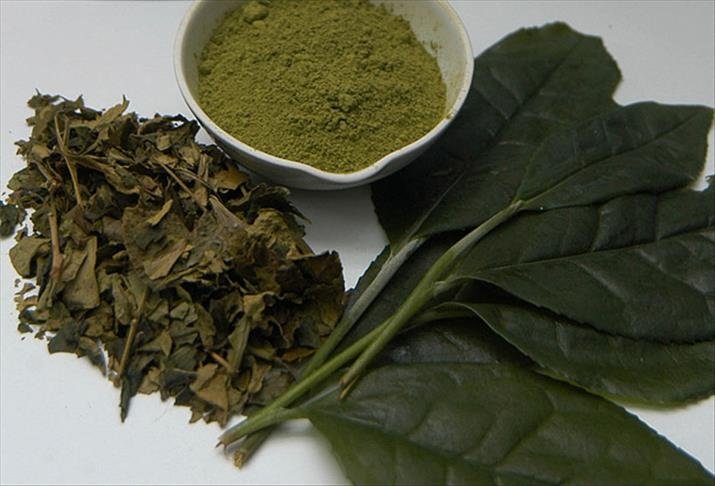 Günde iki fincan içmek yetiyor: Yeşil çayın faydaları nedir, neye iyi gelir?