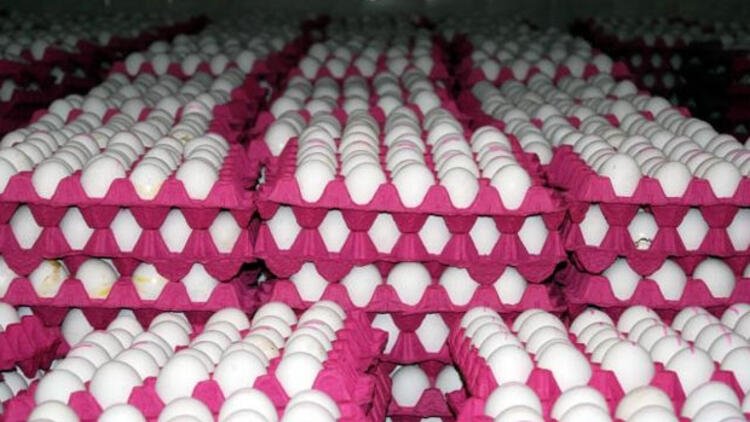 Eğer yumurtayı dolaba bu şekilde koyuyorsanız dikkat!