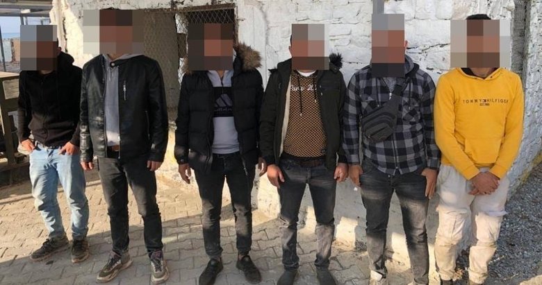 Aydın’da pamuk tarlasında saklanan 25 düzensiz göçmen yakalandı