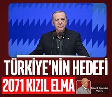 Türkiye’nin hedefi 2071 Kızıl Elma