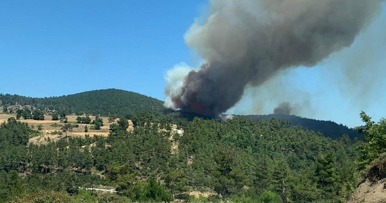 Son dakika: Çanakkale’de korkutan yangın!