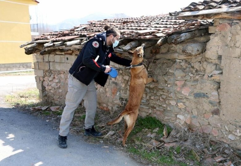 Ülke genelinde 45 bin 894 personelin katılımıyla Huzurlu Sokaklar ve Narkotik Suçları Uygulaması yapıldı