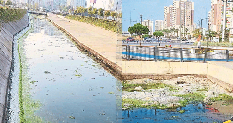 luks semtin dereleri pislik ve sinek
