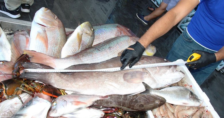 Bodrum’da balıkların boyları teker teker mezura ile ölçüldü
