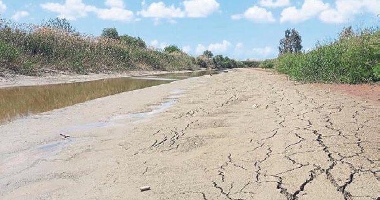 Büyük Menderes nehri kuraklık alarmı veriyor
