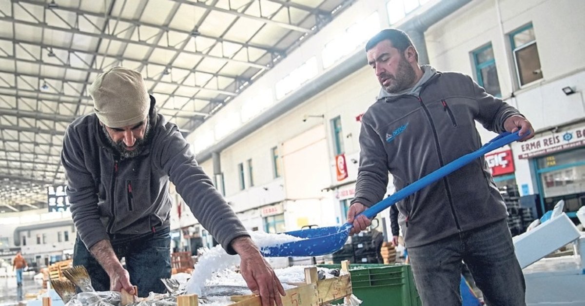 Ege'de balıkçılar sezonu mutlu kapattı