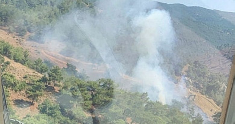 Balıkesir’in Burhaniye ilçesinde orman yangını çıktı