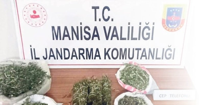 Manisa Jandarmasından uyuşturucu operasyonu