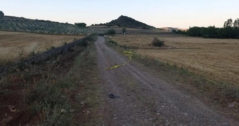 Kardeş katili beraatını istedi