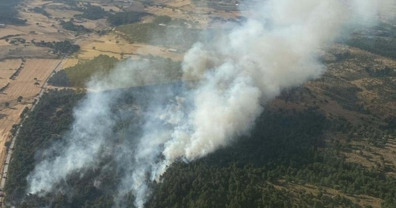 Çanakkale’deki orman yangını 5 hektar alana zarar verdi