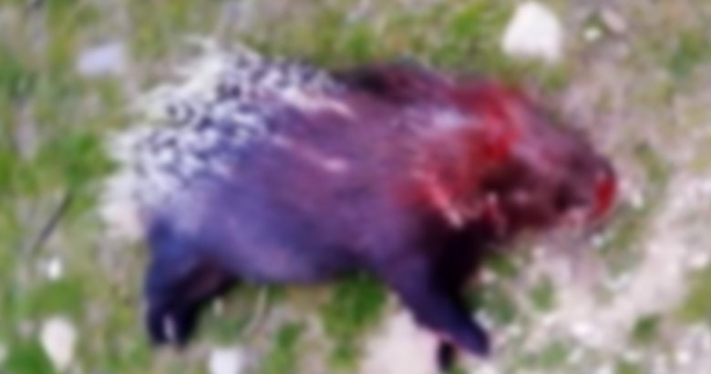 manisa da 4 kisi koruma altindaki