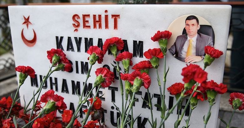Derik Kaymakamı Safitürk’ün şehit edilmesi davasında Mesutoğlu’nun cezası onandı