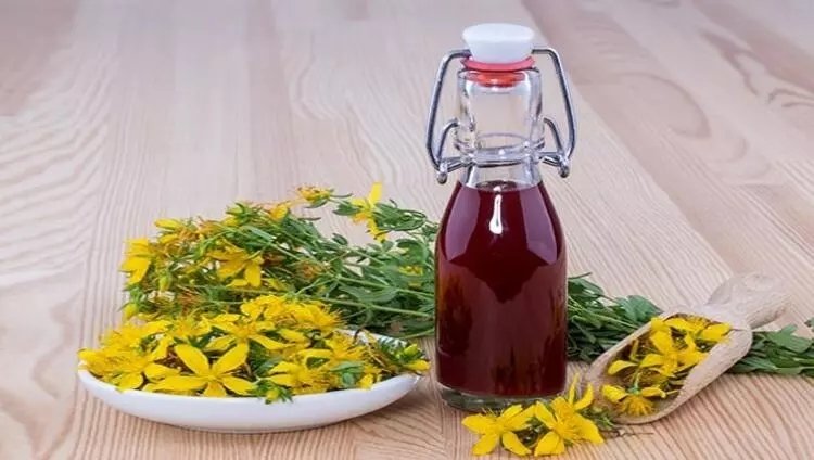 Kırmızı kantaron yağı faydaları nelerdir?