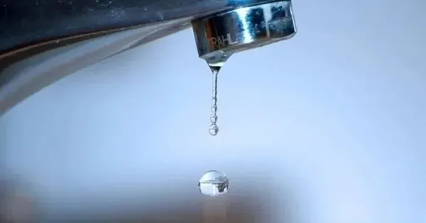 1786690050803.png