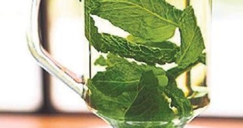 Mide yanmasını taze nane ile önleyin