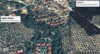 Yüzlerce ağacı görmezden geldi! Ekrem İmamoğlu ve ailesinden havuzlu villalar için ağaç katliamı