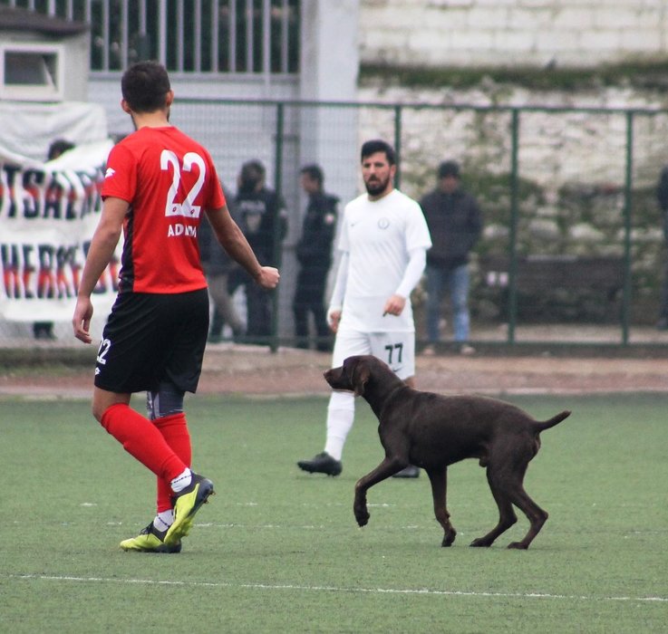 İzmir’deki maçta davetsiz misafir
