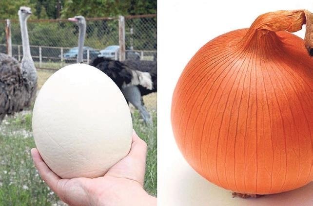 Mucize yapıların babası