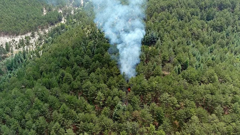 Kütahya’daki orman yangını kontrol altına alındı