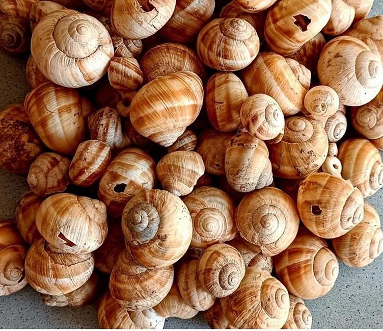 Tavşanlı Höyük’te yeni keşif! 4 bin yıl geçmesine rağmen hala taş gibi!