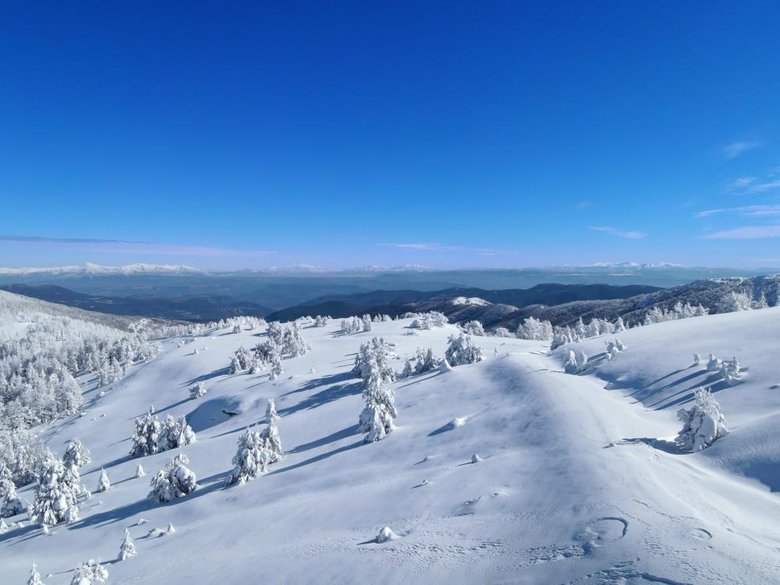 Sibirya değil Muğla: Türkiye’nin ılıman şehri bile buz kesti
