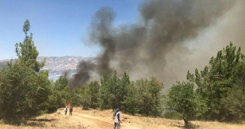 Bir yangın da Denizli’de! Tüm halk seferber oldu