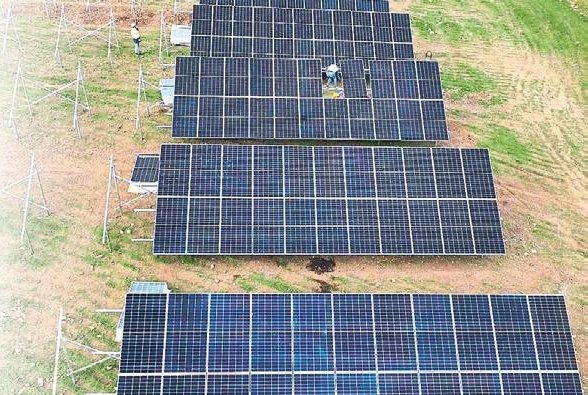 Kalyon Konteyner Kent ekolojik şehire dönüşüyor