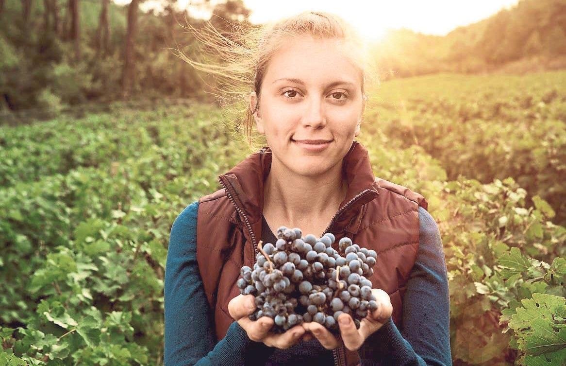 Altın asmaların ülkesi: Lidya Antik Bağ Rotası