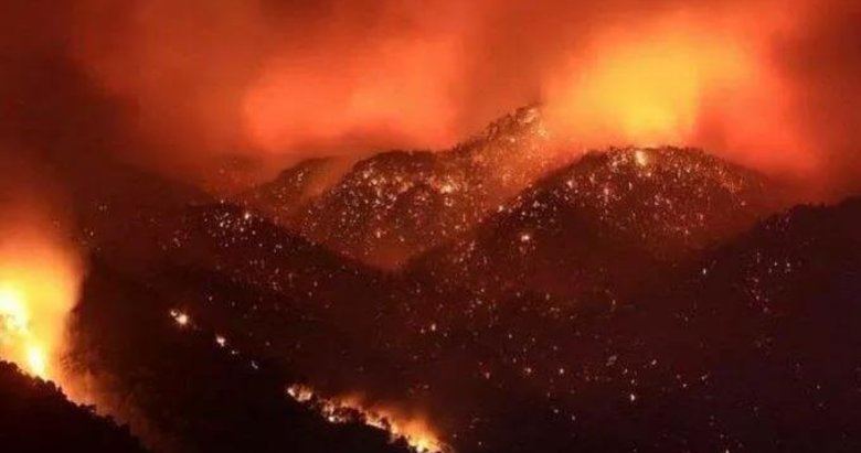 Orman Genel Müdürü açıkladı: Muğla ve Antalya’da ormanların sadece yüzde 5’i yangınlardan etkilendi