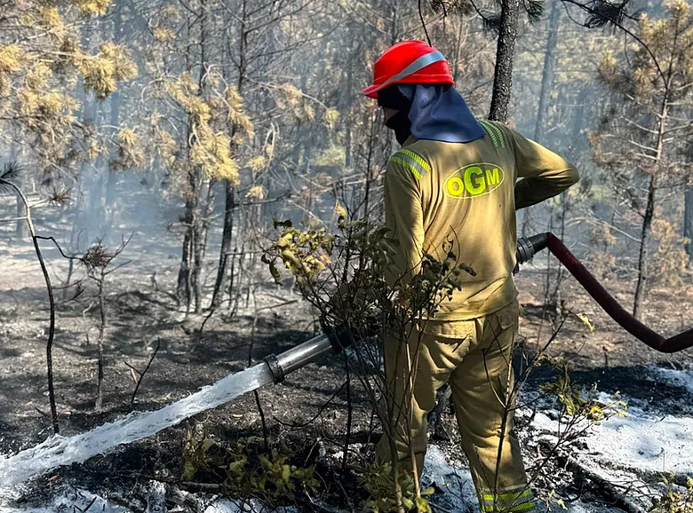 yangin-sezonu-oncesi-muglada-kirmizi-alarm-mugla-valisinden-yuksek-risk-uyarisi-1784561701435.jpeg